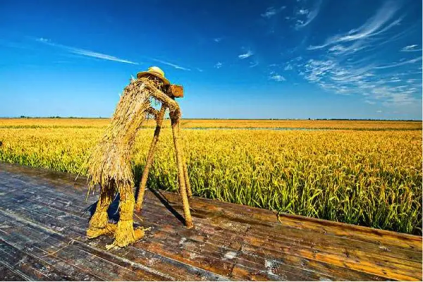 一到十月，這些地方的顏值就爆表，錯過就是一年