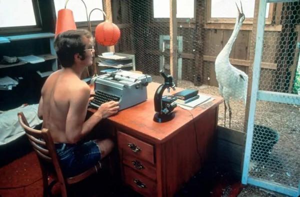 一個男人與一隻鶴的曠世愛情：她一生只愛他一人