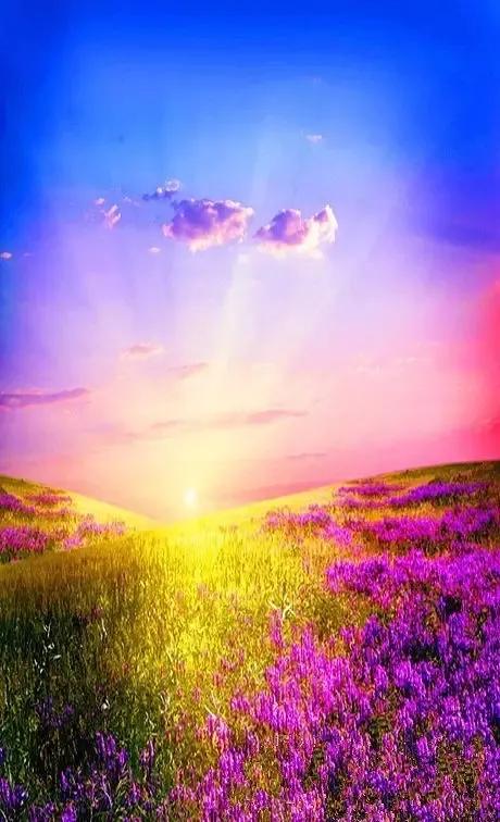 人間仙境美極了