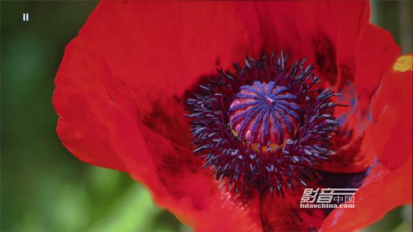 ViewSonic（優派）TX5000K：客廳百寸大屏市場的有力競爭者，擁有搶眼色彩的LED超短焦投影新貴