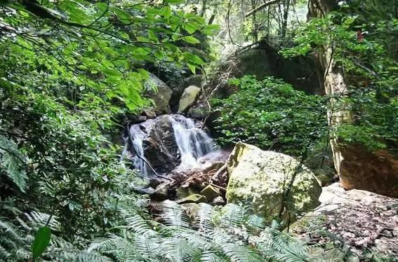 福建這個值得一去！登山、健身、觀賞、休閒為一體，超適合解壓