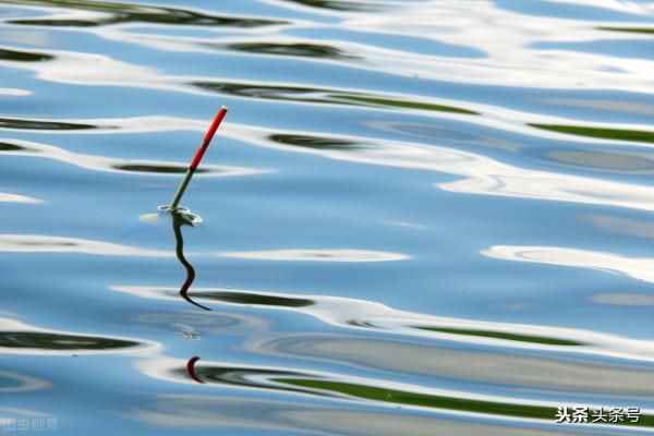 調靈還是調鈍,野釣調釣該怎樣去確定? 調靈還是調鈍,野釣調釣該怎樣去確定?