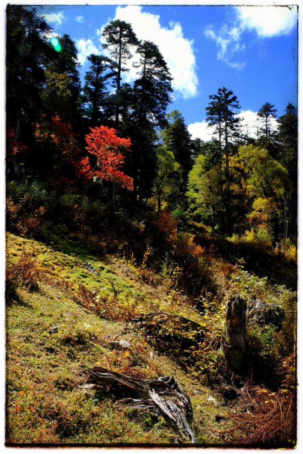 2021雲南遊-3 2021雲南遊-3