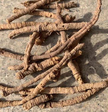 記性不好、記憶力差？簡單四味藥泡水喝，心腎相交，增強記憶力