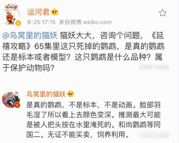 把馬推下懸崖、炸死功勳犬，為了所謂的藝術，他們什麼都乾的出來