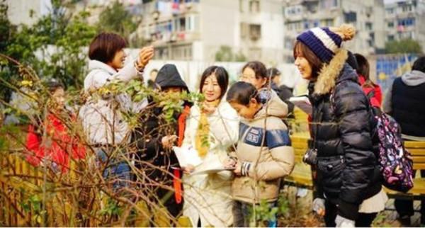 觀察：縣城再無清華北大的後果