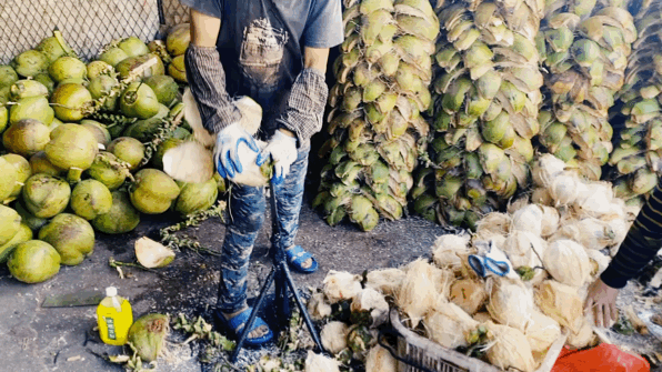 在這裡我毫不焦慮，還實現了水果自由