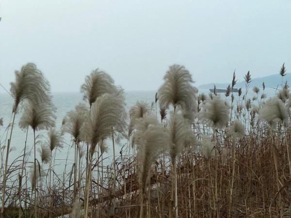 閒人筆記·太湖 閒人筆記·太湖