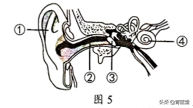 2021年吉林省中考生物真題