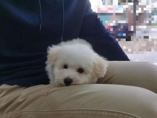 “大力”出奇跡(1) “大力”出奇跡(1)