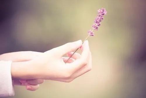 人活著不能太精明