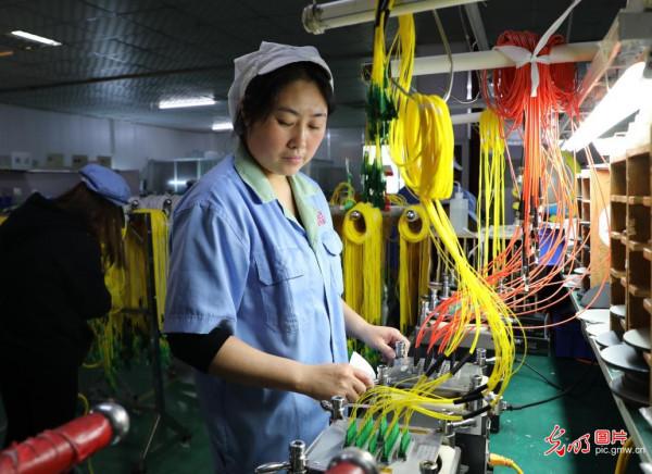 小光纖連線大市場