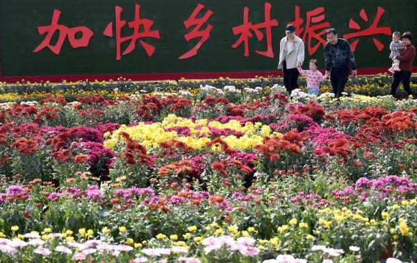 抓牢鄉村振興關鍵點