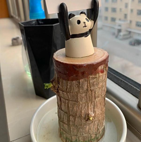 你的入冬趣事有哪些?i哥冬日小紀在這揭曉,你們覺得哪件小事戳你 你的入冬趣事有哪些?i哥冬日小紀在這揭曉,你們覺得哪件小事戳你