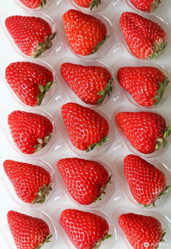 山姆會員店最值得入手的都在這裡！2021年無限回購的好物盤點