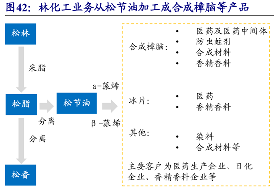 股價暴跌60%卻天天拿專利，這公司搞什麼名堂？