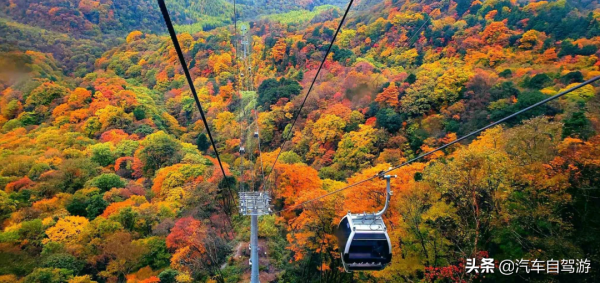 這8處金秋自駕遊線路,總有一款適合你(附線路地圖) 這8處金秋自駕遊線路,總有一款適合你(附線路地圖)