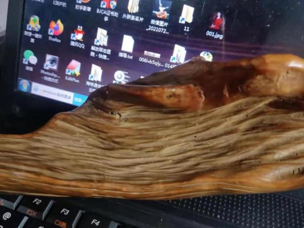 修羽－－風之翼天寸木欣賞，神出地震儀