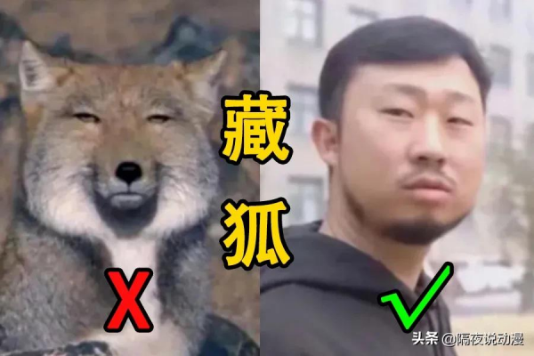 B站百大名單公佈！LEX掉落神壇，何同學和羅翔老師依舊位列仙班