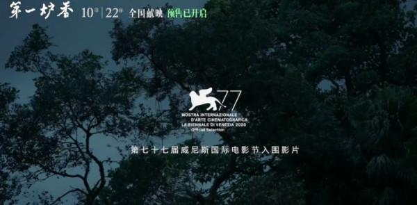 今年最受關注的文藝片，名導群星大製作，卻輸在女主角的顏值