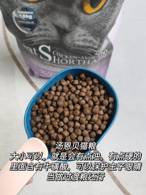 養貓不能亂選貓糧｜別再選毒貓糧了