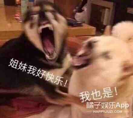 連楊丞琳都心動！艾迪哈木因救援登上新聞，給李承鉉寫信附英文