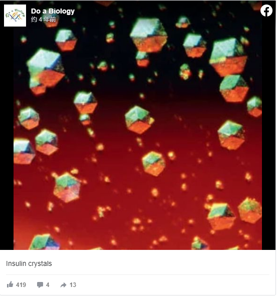 快來看看，我們的器官在顯微鏡下看起來是什麼樣子？