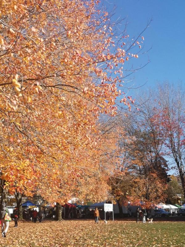 帶你遊溫哥華的小眾景點