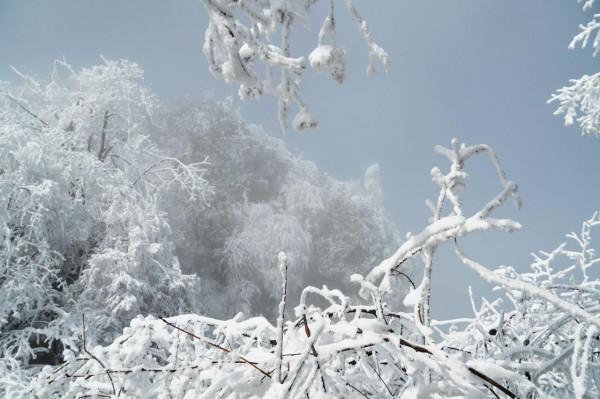 在家觀冬奧 聯想冰雪記憶