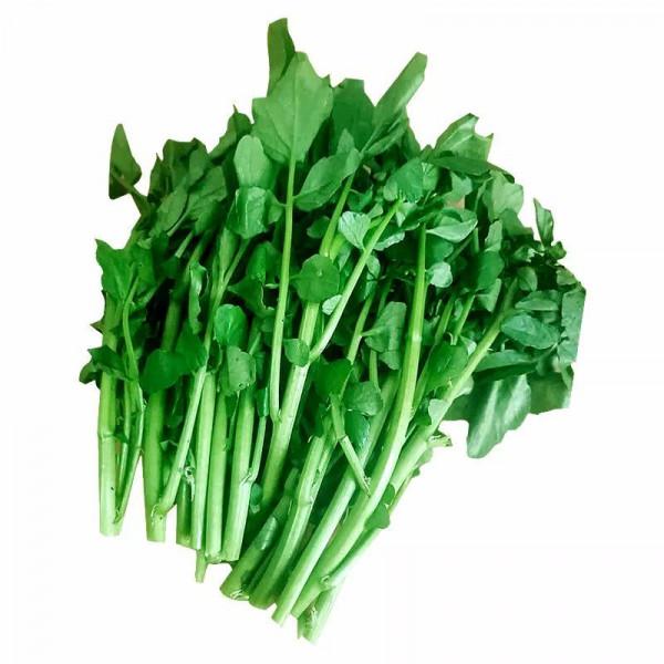 冬天用什麼食材煲湯好？記得試試7種菜，營養豐富，價格不高