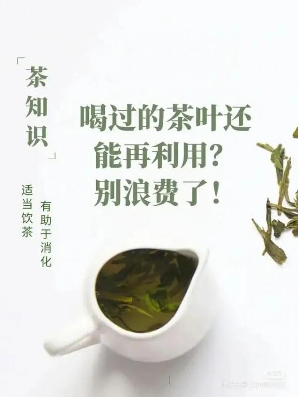 最全的喝茶攻略