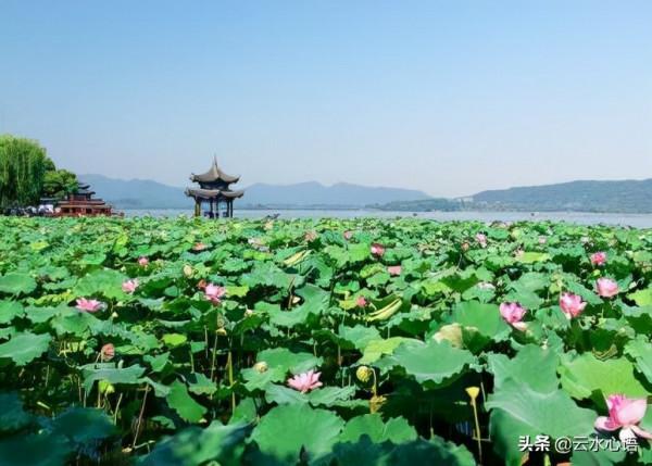 十首流傳久遠的經典古詩詞，對比鮮明，技法高超，值得欣賞和收藏