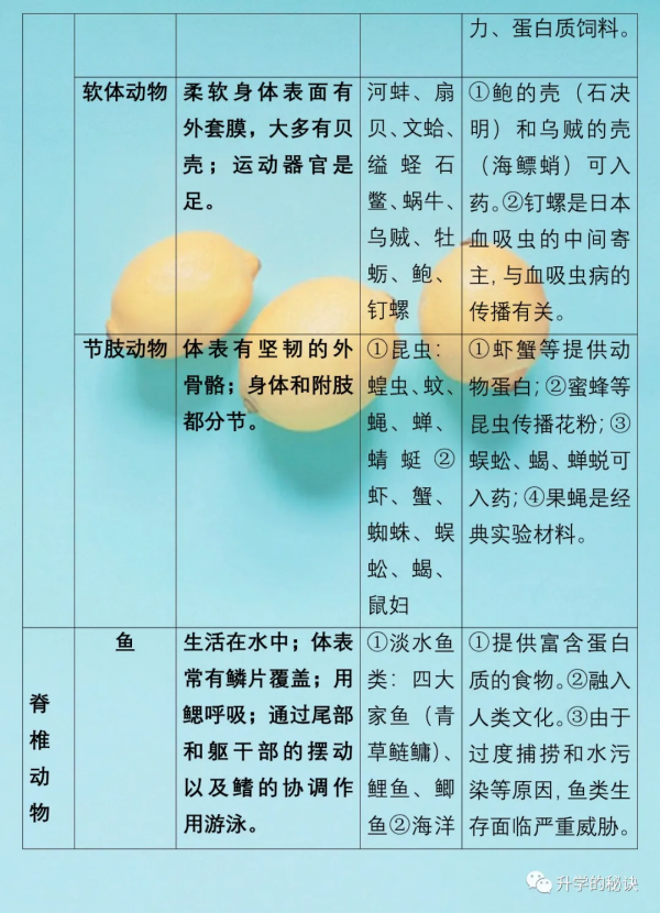 八年級生物上:全冊知識點總結,考點速記,建議為孩子收藏了 八年級生物上:全冊知識點總結,考點速記,建議為孩子收藏了