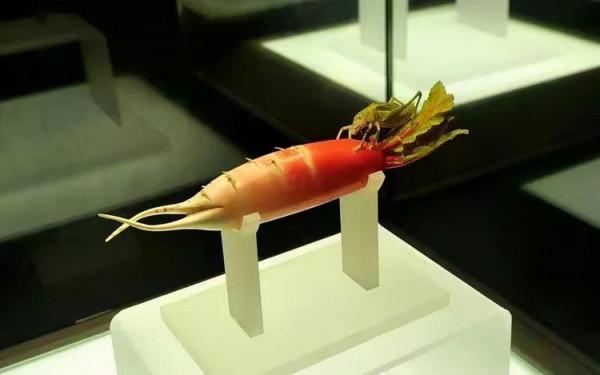 河南農民挖到&OpenCurlyDoubleQuote;兩顆蔬菜&rdquo;，專家花800元買下，如今成為鎮館之寶