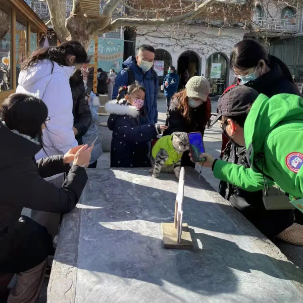 小貓咪都是怎樣&OpenCurlyDoubleQuote;爭寵&rdquo;的？