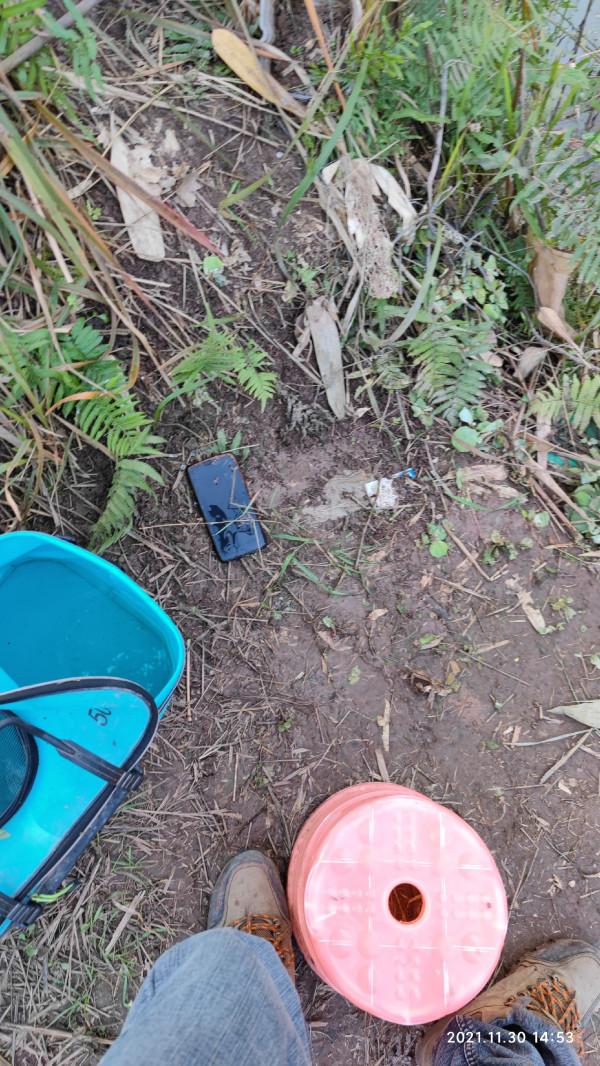 釣友手機打的窩，讓我過了一把癮