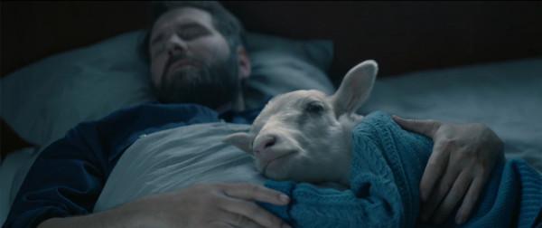 《羊崽》:這部冰島衝奧片,再次加深了北歐的刻板印象 《羊崽》:這部冰島衝奧片,再次加深了北歐的刻板印象