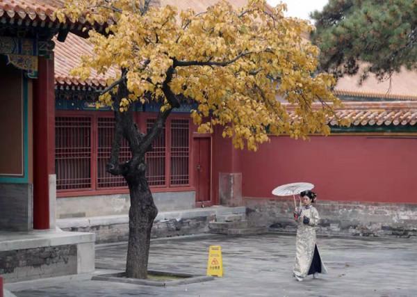 新聞8點見丨北京的秋色,引遊客駐足忘返 新聞8點見丨北京的秋色,引遊客駐足忘返