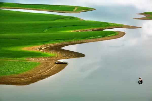 民間故事：柏木精投胎