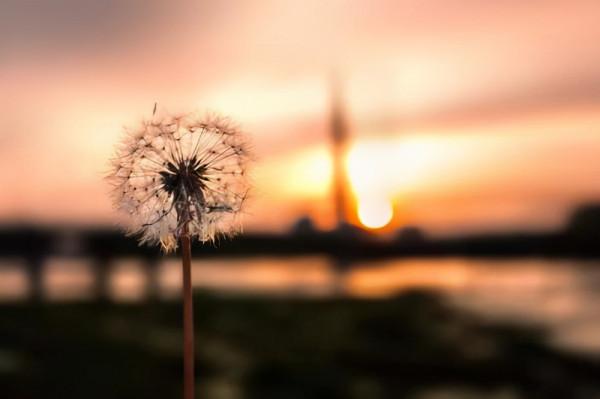 人前不張揚,人後功德無量,這6位娛樂圈的優秀演員,堪稱清流 人前不張揚,人後功德無量,這6位娛樂圈的優秀演員,堪稱清流