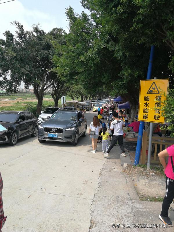 沿著岸邊的步道，貼近廣闊的自然水域，開始在海鷗島上的環島騎行
