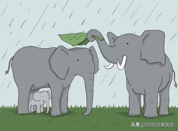 「每週讀書分享」《你今天真好看》：專治不開心，超治癒的漫畫書