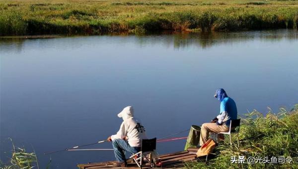 收費水庫青魚、草魚都能釣，為何不能釣鰱鱅？難道是老闆玩不起？