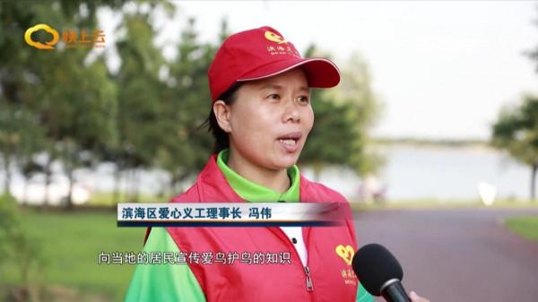 濰坊濱海：白鷺翩躚生態美