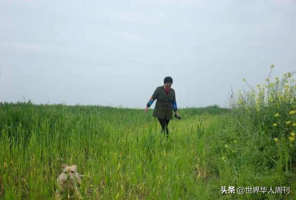 51歲中國農婦登上聯合國演講臺，為什麼大家都在勸她離婚？