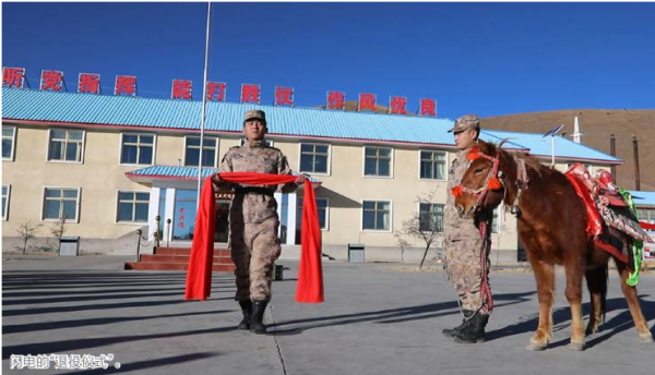 報告！軍馬閃電申請入列