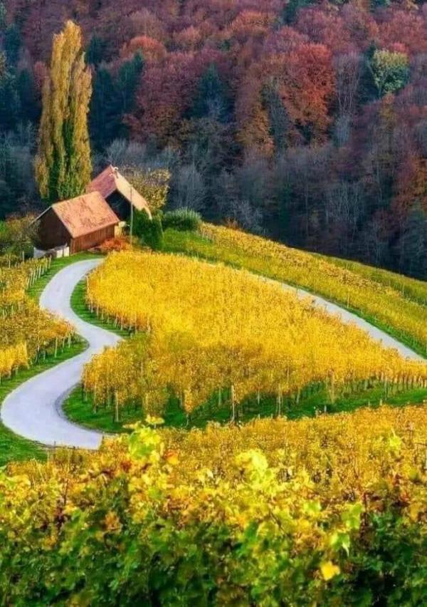 世界很大，風景很美，而你卻不是那個想走就走的人