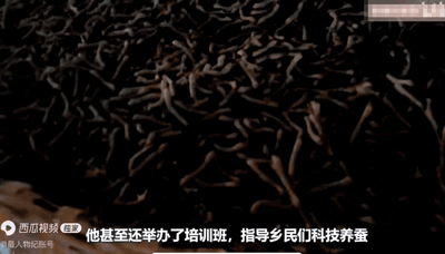 &OpenCurlyDoubleQuote;野人&rdquo;教授何家慶：生前被嫌棄，死後蓋國旗