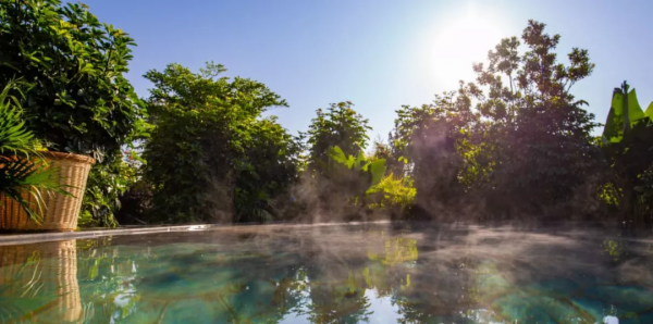 曾破吉尼斯世界紀錄！80萬畝花海齊綻放！這裡藏著國內最早的春天