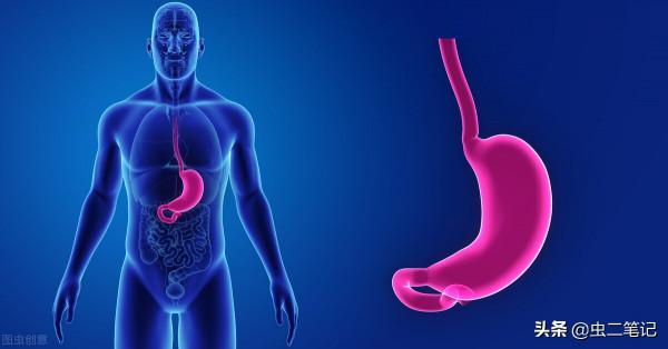 橘枳薑湯——一個老胃病的感悟 橘枳薑湯——一個老胃病的感悟